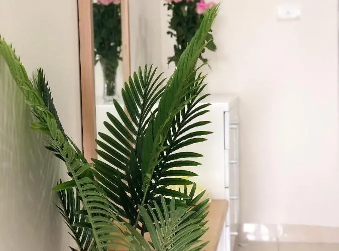 Căn hộ Mon Hạ Long