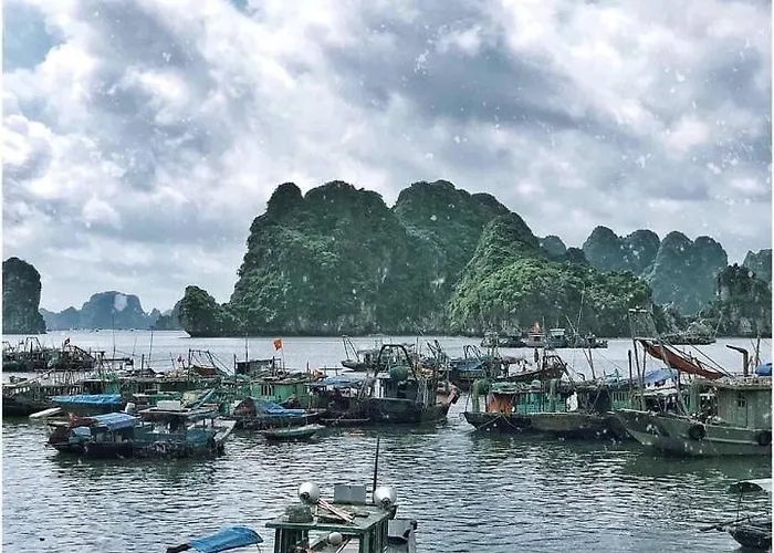 Căn hộ Mon